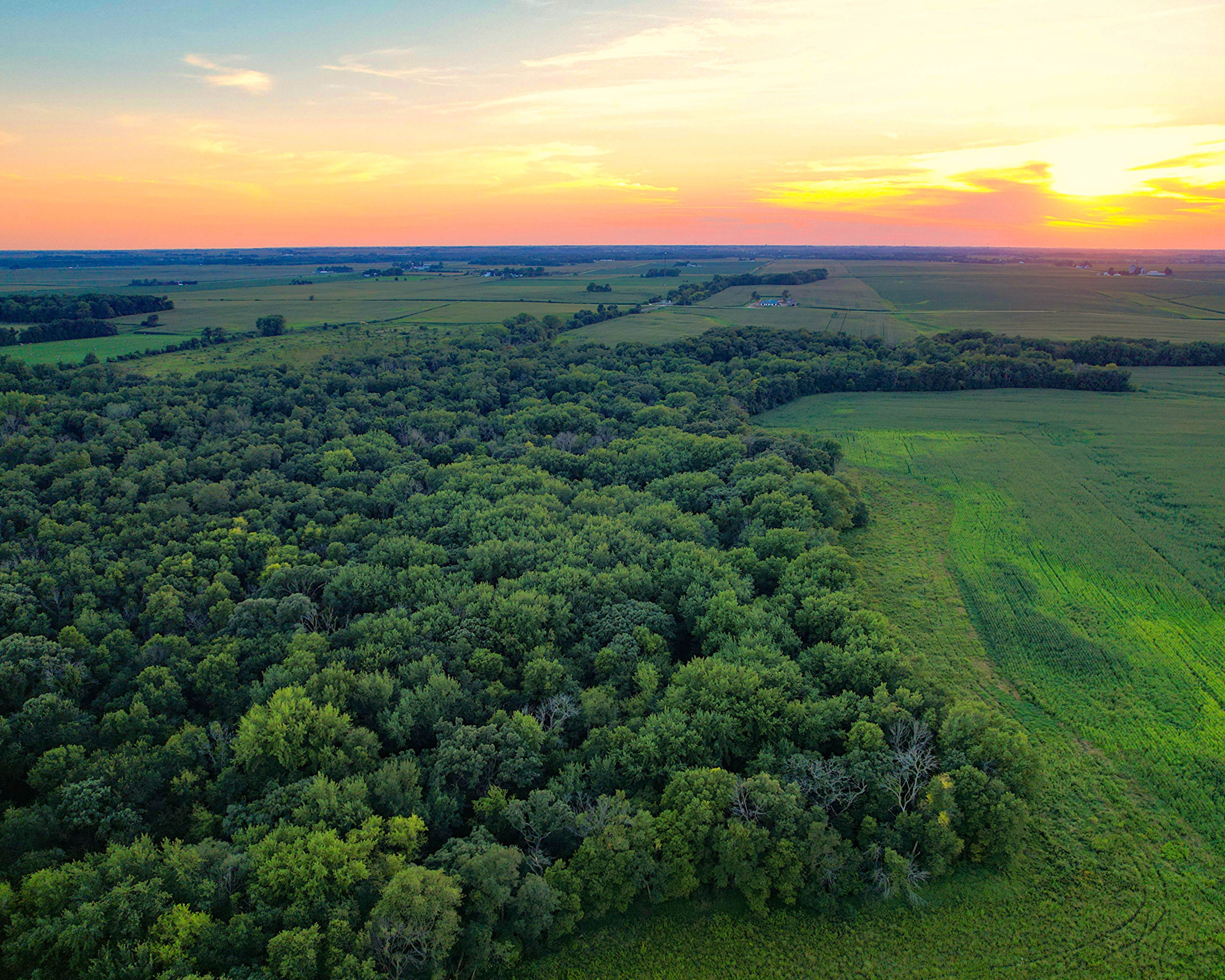 Listing Photo: Iowa-Timber-Land-For-Sale